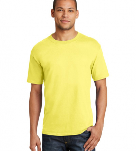 Hanes Beefy Tee